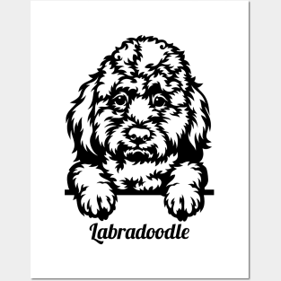 Cute Labradoodle Illustration Posters and Art